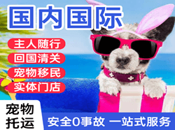 泉州航空物流国际宠物托运 【国